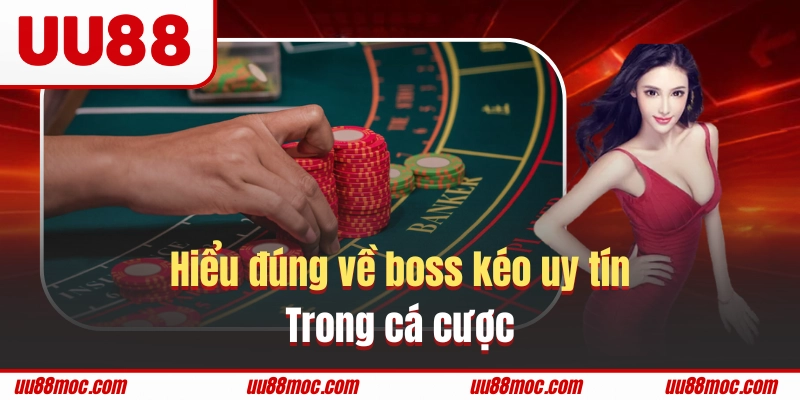 Boss kéo giúp hỗ trợ người chơi đưa ra lựa chọn đặt cược