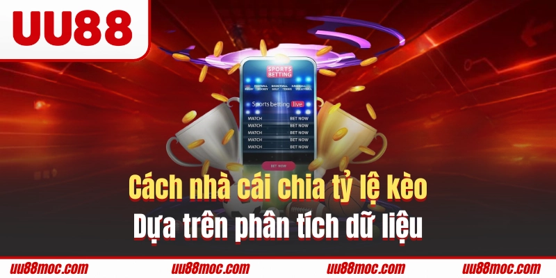 Cách nhà cái chia tỷ lệ kèo dựa trên phân tích dữ liệu